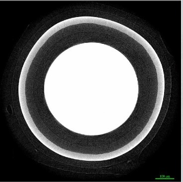 CT image: cross-section of a cylindrical filled component with housing and fill